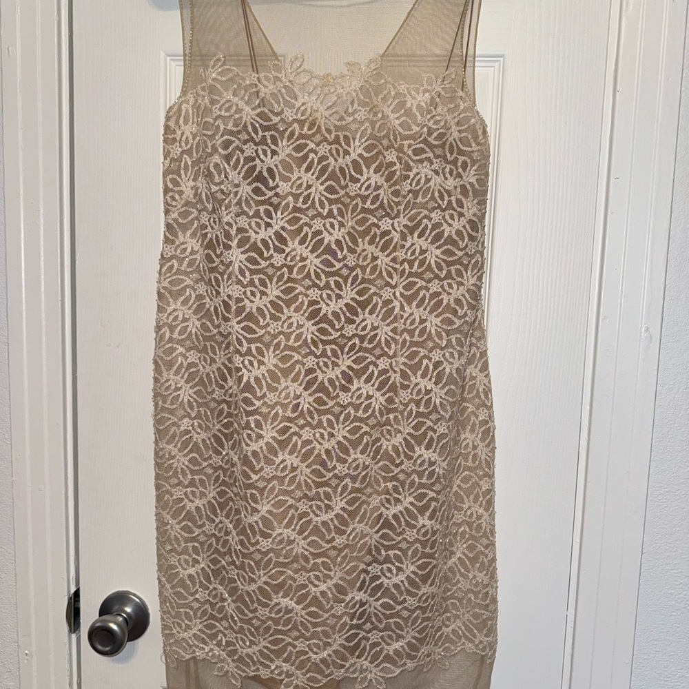 Vintage Elegant Lace Overlay Dress